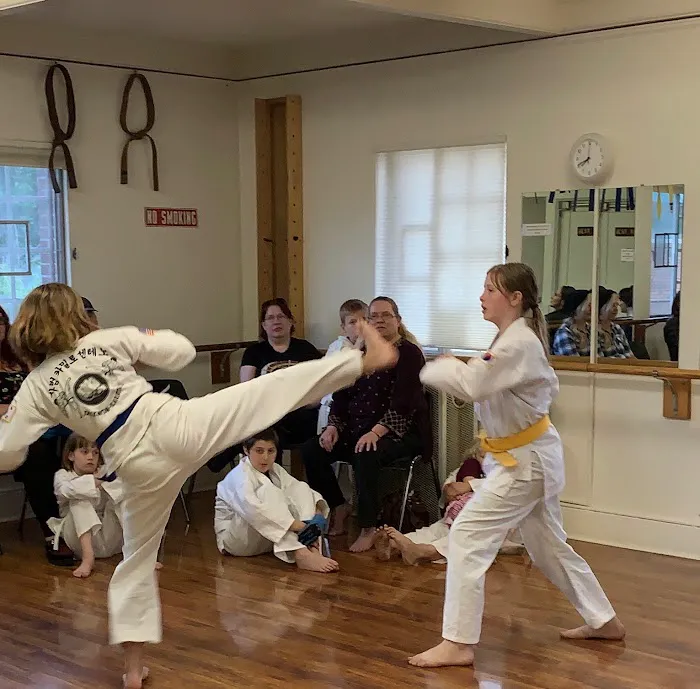 Woodstock Taekwondo Picture 5