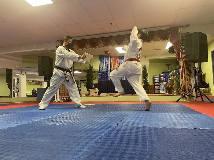 US World Class Taekwondo Hollywood Picture 4