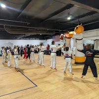 Sunrise TaeKwonDo ico