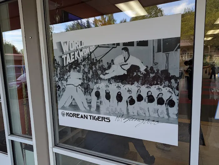 Yong-In Tae Kwon Do Picture 3