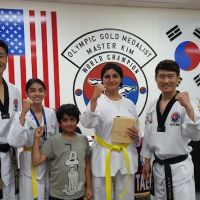 World Champion Taekwondo ico