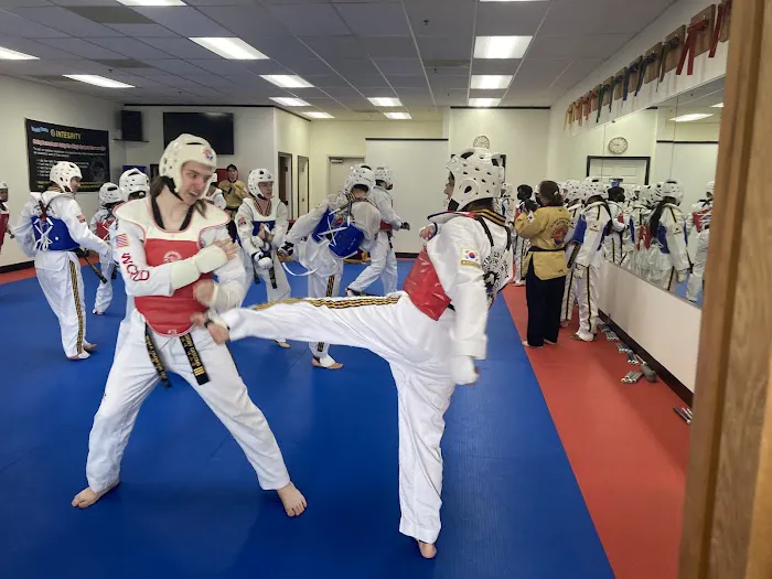 World Champion Taekwondo Picture 8