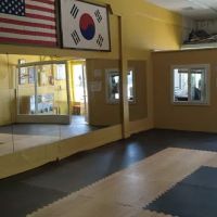 One Taekwondo Academy ico