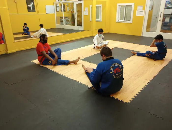 One Taekwondo Academy Picture 6