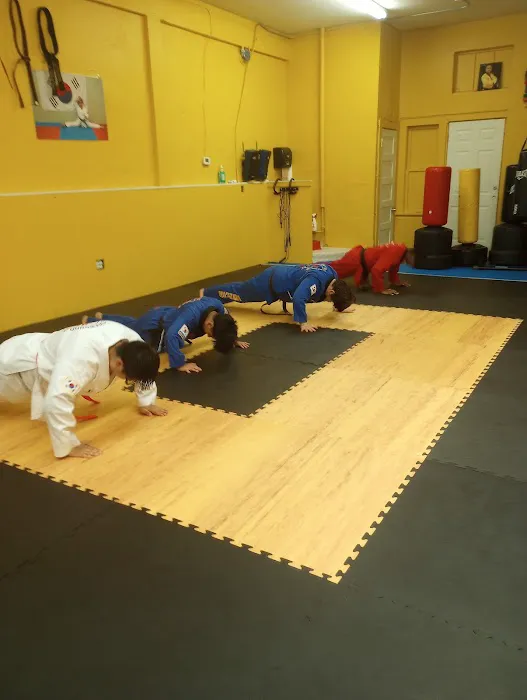 One Taekwondo Academy Picture 8
