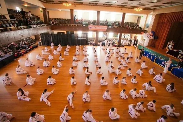 US World Class Taekwondo Association Picture 7