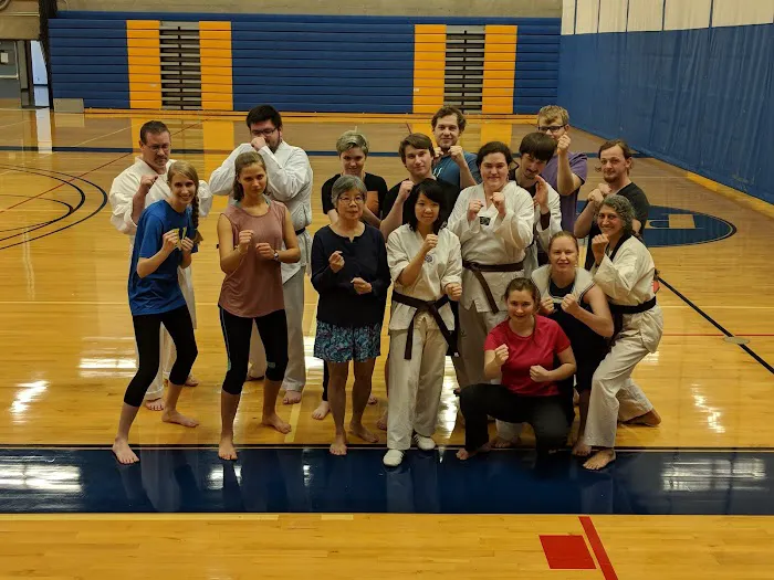 Triforce NW/Global Taekwondo Picture 1