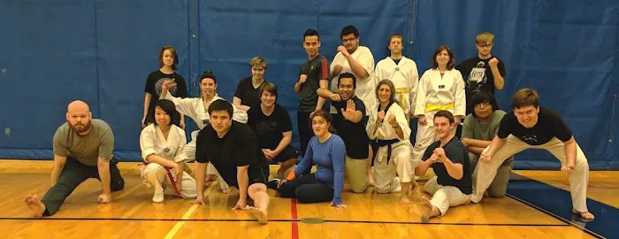 Triforce NW/Global Taekwondo Picture 6