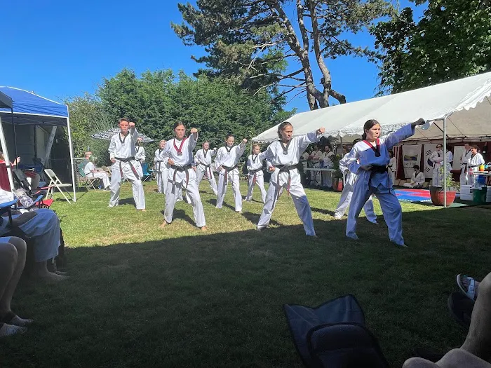 Triforce NW/Global Taekwondo Picture 10
