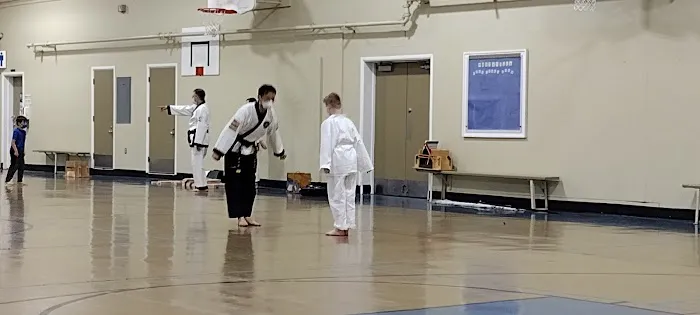 Taekwondo - White Tiger Martial Arts Picture 2