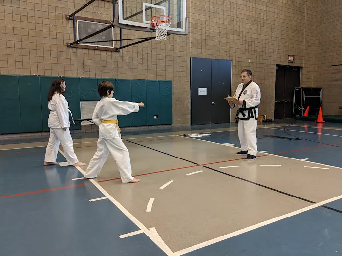 Taekwondo - White Tiger Martial Arts Picture 1