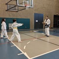 Taekwondo - White Tiger Martial Arts ico