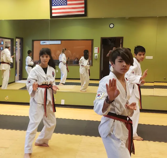 One Taekwondo Academy-Portland Picture 4