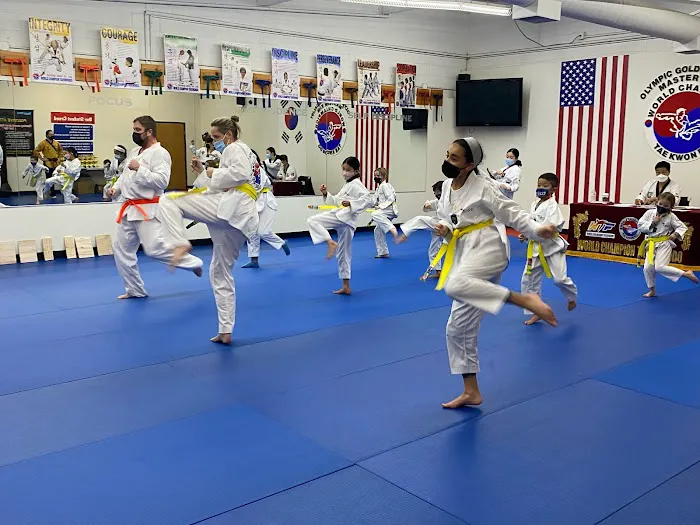 World Champion Taekwondo | Oswego Village Picture 2