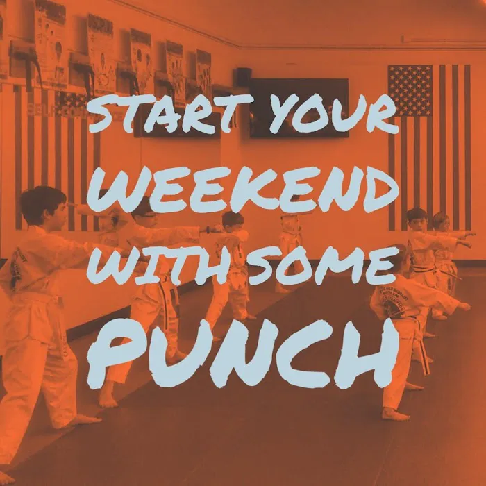 World Champion Taekwondo | Oswego Village Picture 4