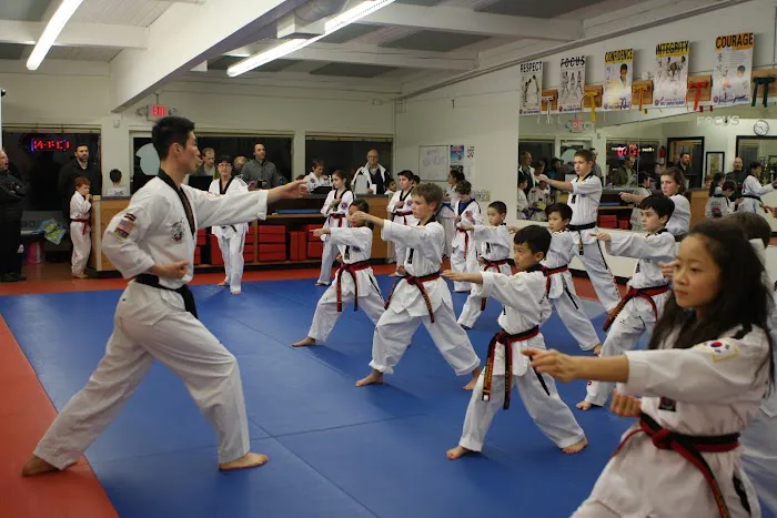 World Champion Taekwondo | Oswego Village Picture 7
