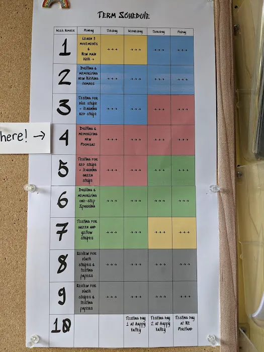 Sunrise Taekwondo Picture 1