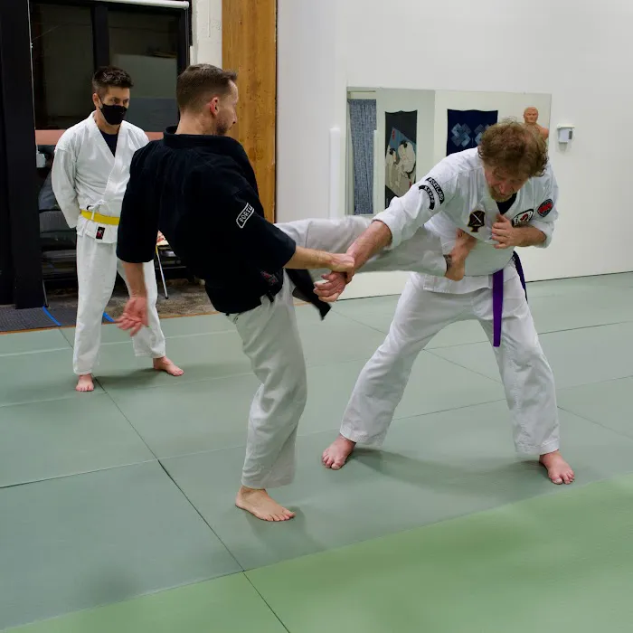 Portland Kenpo Karate Picture 2