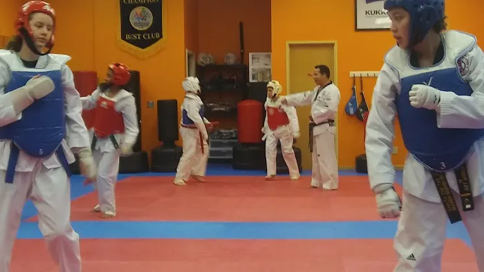 U.S. World Class Taekwondo Picture 1