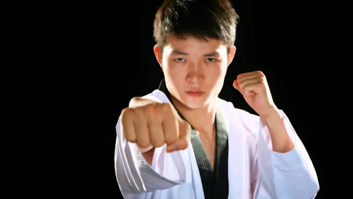 U.S. World Class Taekwondo Picture 5