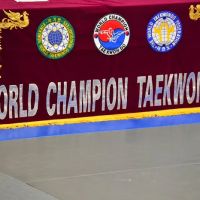 World Champion Taekwondo ico