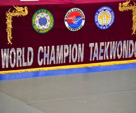 World Champion Taekwondo