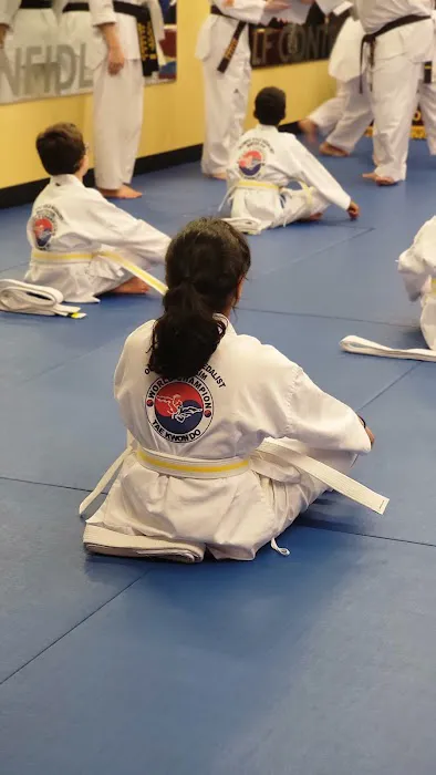 World Champion Taekwondo Picture 3