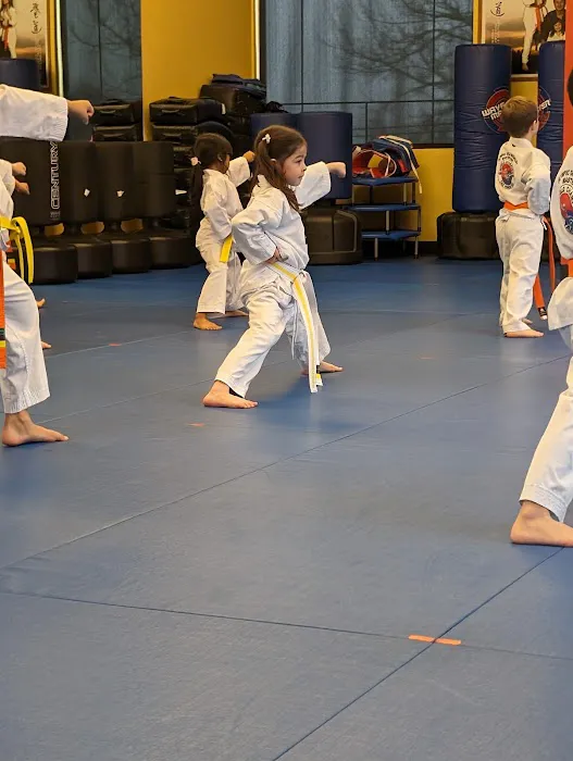 World Champion Taekwondo Picture 4