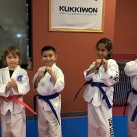 Lim's Taekwondo Academy ico