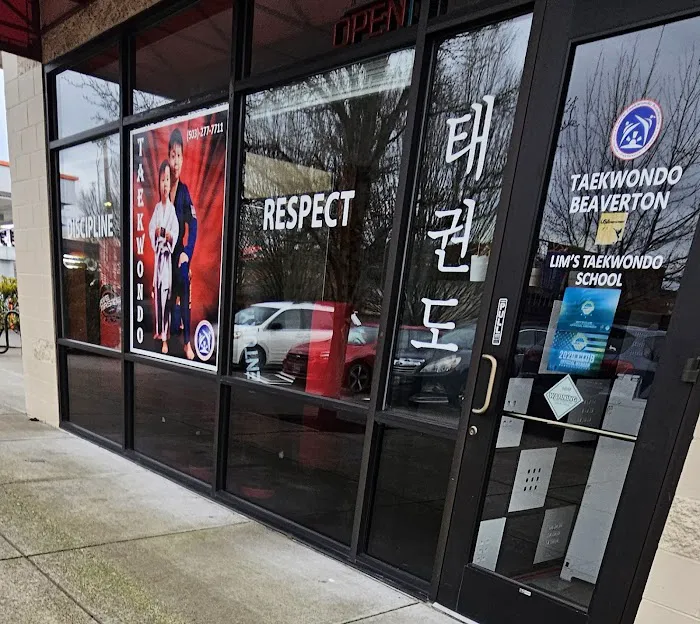 Lim's Taekwondo Academy Picture 3