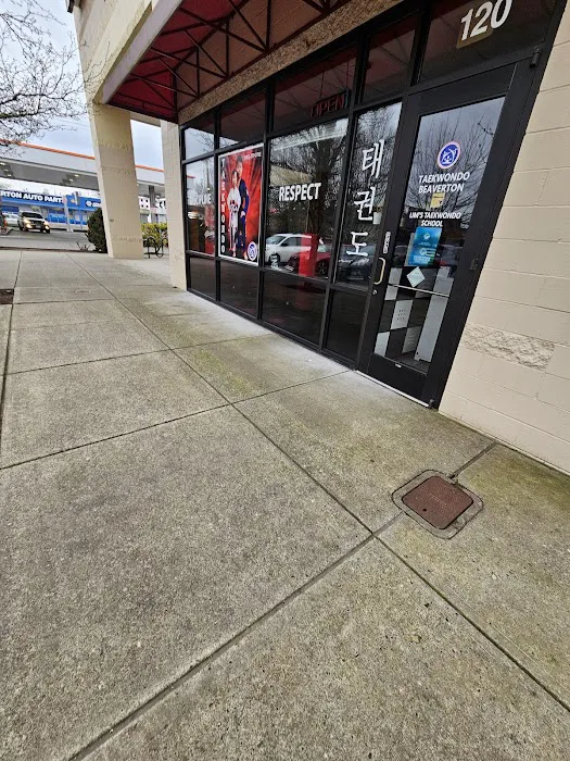 Lim's Taekwondo Academy Picture 4