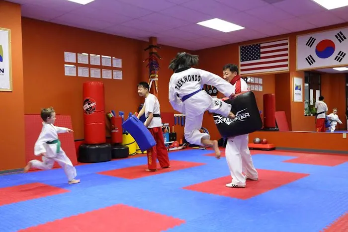 Lim's Taekwondo Academy Picture 7