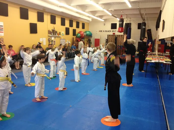 Family Martial Arts Academy Picture 4