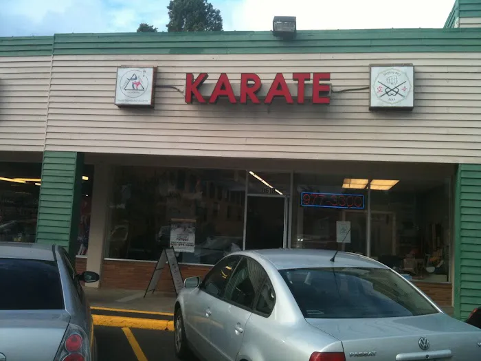 Family Martial Arts Academy Picture 9