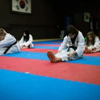 W1 Taekwondo ico