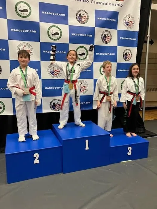 W1 Taekwondo Picture 4