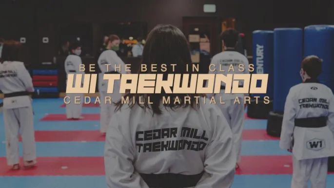 W1 Taekwondo Picture 10