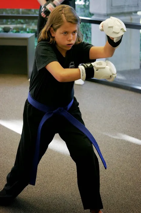 Academy of Modern Martial Arts Picture 2
