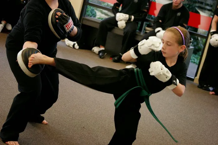 Academy of Modern Martial Arts Picture 5