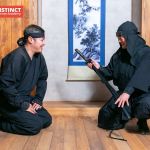 Instinct Defense Academy