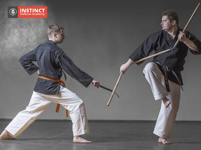 Instinct Defense Academy Picture 3