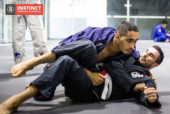 Instinct Defense Academy Picture 5