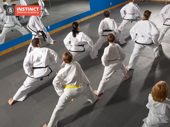 Instinct Defense Academy Picture 10