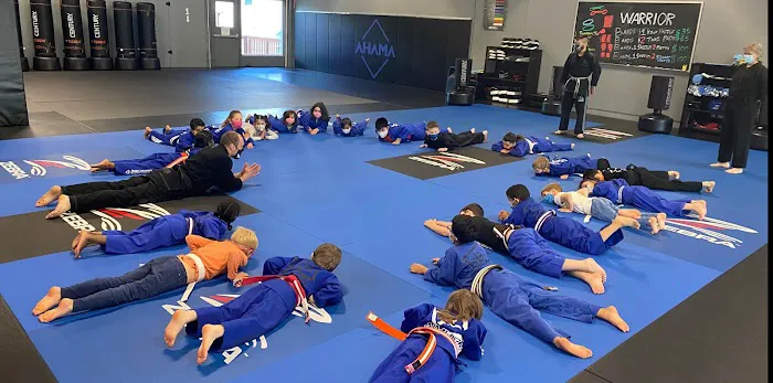 Aim High Academy Of Martial Arts Picture 3