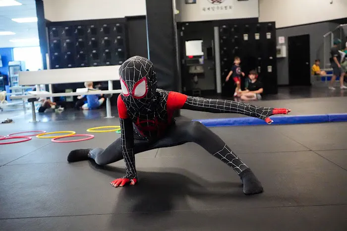 Aim High Academy Of Martial Arts Picture 2