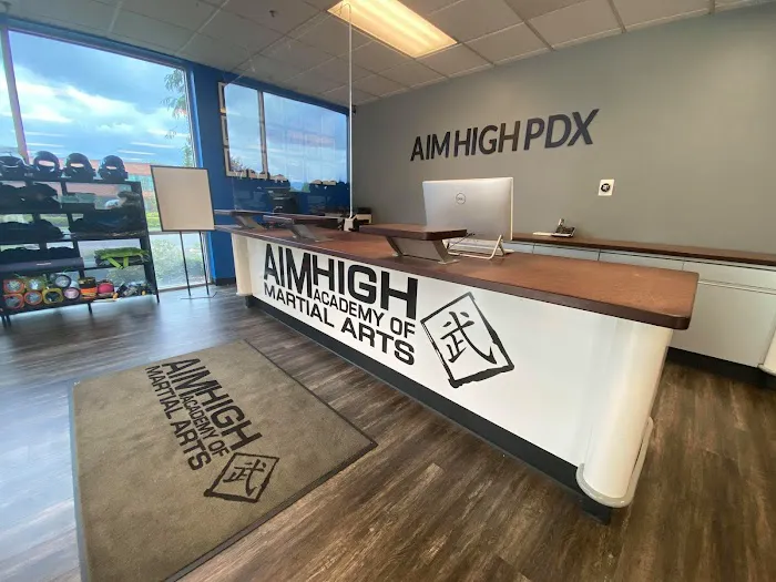 Aim High Academy Of Martial Arts Picture 6