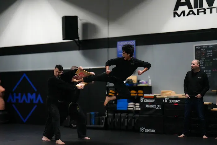 Aim High Academy Of Martial Arts Picture 8