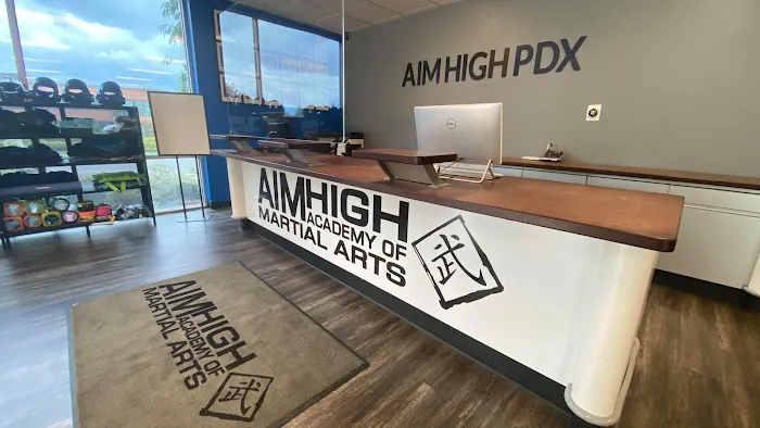 Aim High Academy Of Martial Arts Picture 9