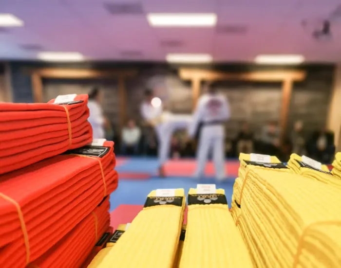 Bethany US World Class Taekwondo Martial Arts Academy Picture 5