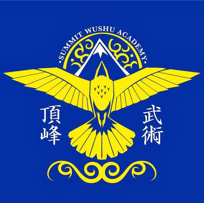 Summit Wushu Academy Picture 2